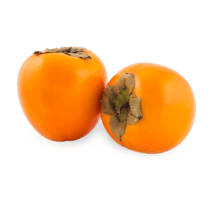 Organic Fresh Paradise Palm