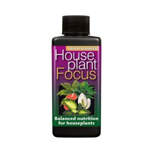 Houseplant Focus - Plant Nutrition