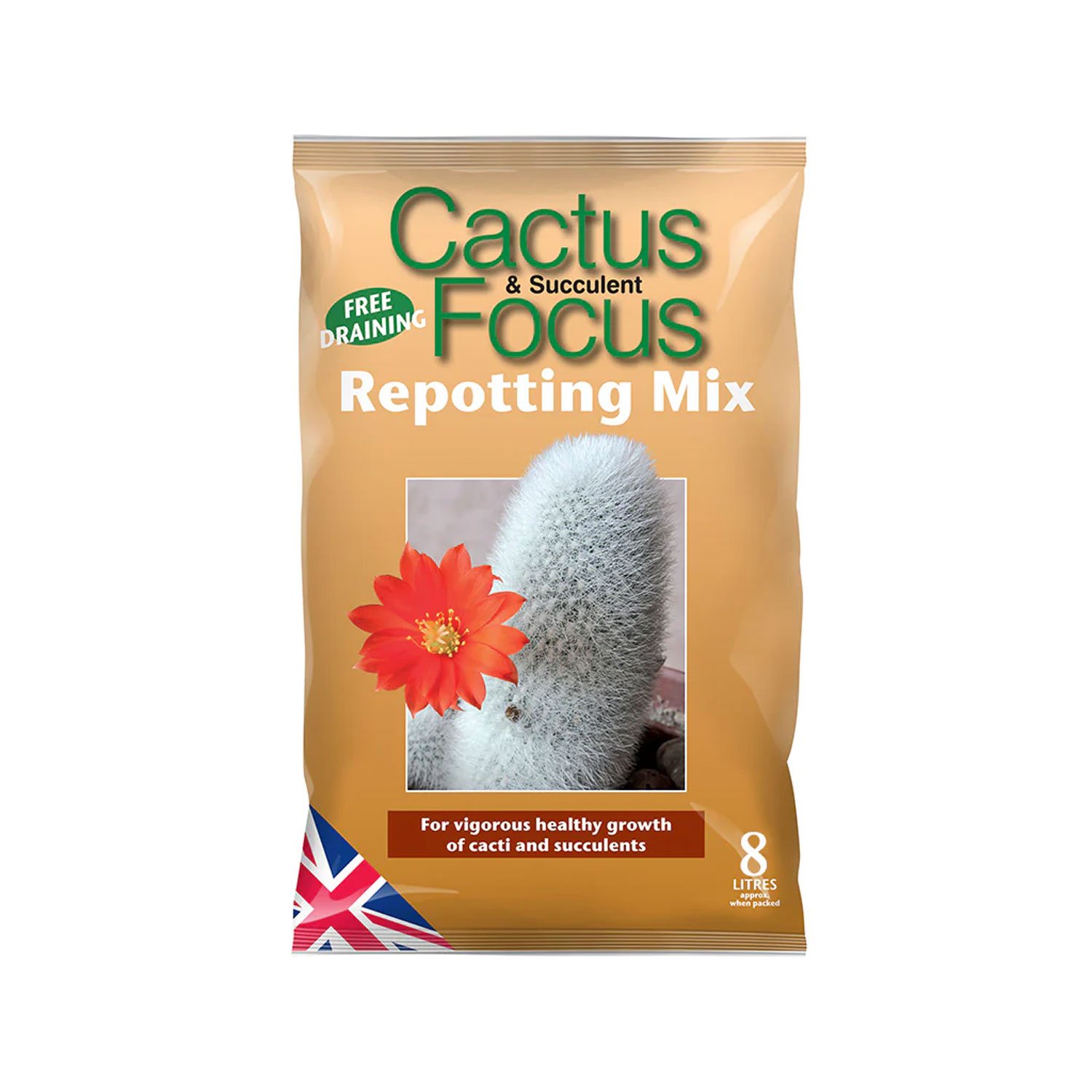 Cactus & Succulent Focus - Repotting Mix - Image 2